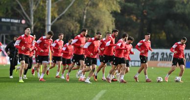 საქართველო - ესპანეთი | 14 ნოემბრის განრიგი