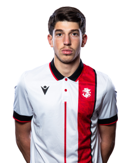 ნიკოლოზ დადიანი